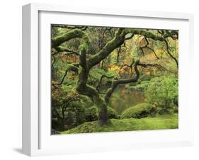 Portland Japanese Garden in Early Autumn: Portland Japanese Garden, Portland, Oregon, USA-Michel Hersen-Framed Premium Photographic Print