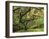 Portland Japanese Garden in Early Autumn: Portland Japanese Garden, Portland, Oregon, USA-Michel Hersen-Framed Photographic Print