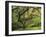 Portland Japanese Garden in Early Autumn: Portland Japanese Garden, Portland, Oregon, USA-Michel Hersen-Framed Photographic Print