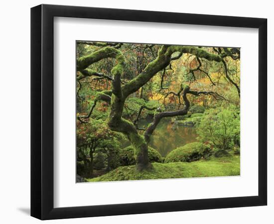 Portland Japanese Garden in Early Autumn: Portland Japanese Garden, Portland, Oregon, USA-Michel Hersen-Framed Photographic Print