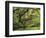 Portland Japanese Garden in Early Autumn: Portland Japanese Garden, Portland, Oregon, USA-Michel Hersen-Framed Photographic Print