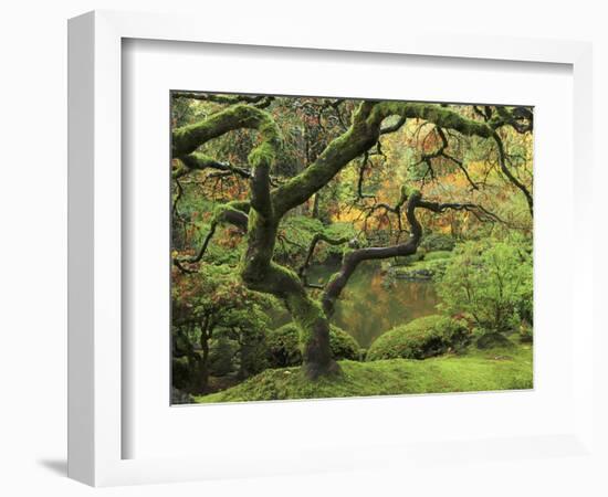 Portland Japanese Garden in Early Autumn: Portland Japanese Garden, Portland, Oregon, USA-Michel Hersen-Framed Photographic Print