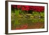 Portland Japanese Garden in Spring, Portland, Oregon, Usa-Michel Hersen-Framed Photographic Print