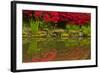 Portland Japanese Garden in Spring, Portland, Oregon, Usa-Michel Hersen-Framed Photographic Print