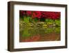 Portland Japanese Garden in Spring, Portland, Oregon, Usa-Michel Hersen-Framed Photographic Print