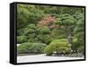 Portland Japanese Garden, Oregon, USA-William Sutton-Framed Stretched Canvas