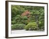 Portland Japanese Garden, Oregon, USA-William Sutton-Framed Photographic Print