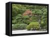 Portland Japanese Garden, Oregon, USA-William Sutton-Framed Stretched Canvas