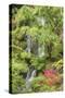 Portland Japanese Garden, Oregon.-William Sutton-Stretched Canvas
