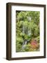 Portland Japanese Garden, Oregon.-William Sutton-Framed Photographic Print