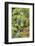 Portland Japanese Garden, Oregon.-William Sutton-Framed Photographic Print