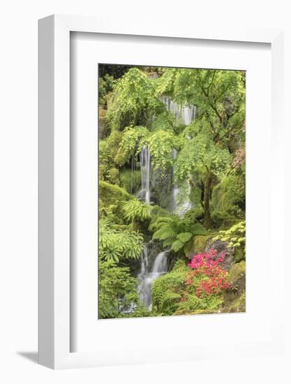Portland Japanese Garden, Oregon.-William Sutton-Framed Photographic Print