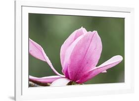 Portland Japanese Garden, Oregon.-William Sutton-Framed Photographic Print