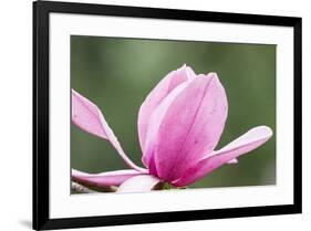 Portland Japanese Garden, Oregon.-William Sutton-Framed Photographic Print