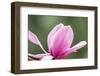 Portland Japanese Garden, Oregon.-William Sutton-Framed Photographic Print