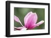 Portland Japanese Garden, Oregon.-William Sutton-Framed Photographic Print