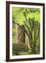 Portland Japanese Garden, Oregon.-William Sutton-Framed Photographic Print