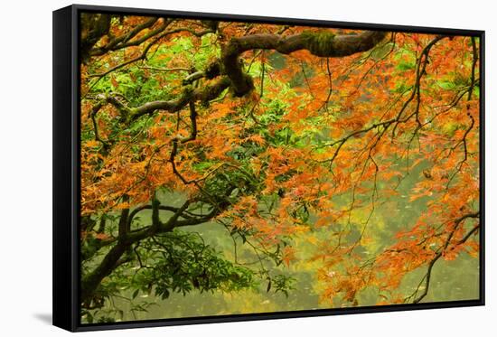 Portland Japanese Garden, Portland, Oregon, USA-Michel Hersen-Framed Stretched Canvas
