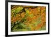 Portland Japanese Garden, Portland, Oregon, USA-Michel Hersen-Framed Photographic Print