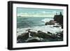 Portland, Maine - Scenic View of Cape Cottage of the Rocky Shore-Lantern Press-Framed Art Print