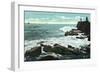 Portland, Maine - Scenic View of Cape Cottage of the Rocky Shore-Lantern Press-Framed Art Print