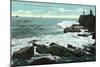 Portland, Maine - Scenic View of Cape Cottage of the Rocky Shore-Lantern Press-Mounted Art Print