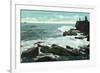 Portland, Maine - Scenic View of Cape Cottage of the Rocky Shore-Lantern Press-Framed Premium Giclee Print