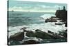 Portland, Maine - Scenic View of Cape Cottage of the Rocky Shore-Lantern Press-Stretched Canvas
