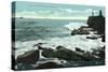 Portland, Maine - Scenic View of Cape Cottage of the Rocky Shore-Lantern Press-Stretched Canvas