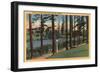 Portland, OR - Scene in Laurelhurst Park-Lantern Press-Framed Art Print