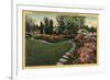 Portland, Oregon - Azaleas & Rhododendrons-Lantern Press-Framed Art Print