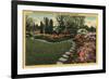 Portland, Oregon - Azaleas & Rhododendrons-Lantern Press-Framed Art Print