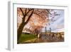 Portland, Oregon - Cherry Blossoms and Waterfront-Lantern Press-Framed Art Print