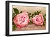 Portland, Oregon, City of Roses-null-Framed Art Print