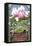 Portland, Oregon - Garden and Magnolia Scene-Lantern Press-Framed Stretched Canvas