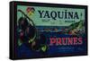Portland, Oregon - Yaquina Prune Label-Lantern Press-Framed Stretched Canvas
