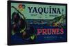 Portland, Oregon - Yaquina Prune Label-Lantern Press-Stretched Canvas