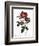 Portland Rose-Pierre Joseph Redoute-Framed Giclee Print