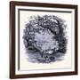 Portland Seen from Peak Island United States of America-null-Framed Giclee Print