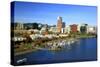 Portland Skyline & Willamette River-Steve Terrill-Stretched Canvas