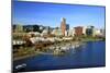 Portland Skyline & Willamette River-Steve Terrill-Mounted Photographic Print