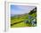 Porto Formoso tea fields, Sao Miguel Island, Azores, Portugal, Atlantic, Europe-Karol Kozlowski-Framed Photographic Print