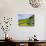 Porto Formoso tea fields, Sao Miguel Island, Azores, Portugal, Atlantic, Europe-Karol Kozlowski-Photographic Print displayed on a wall