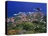 Porto Moniz, Madeira, Portugal-Hans Peter Merten-Stretched Canvas