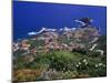 Porto Moniz, Madeira, Portugal-Hans Peter Merten-Mounted Photographic Print