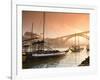 Porto Wine Carrying Barcos, River Douro and City Skyline, Porto, Portugal-Michele Falzone-Framed Photographic Print