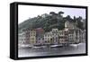 Portofino 3-Chris Bliss-Framed Stretched Canvas