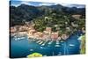 Portofino Birds Eye View, Liguria, Italy-George Oze-Stretched Canvas