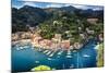 Portofino Birds Eye View, Liguria, Italy-George Oze-Mounted Photographic Print