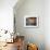 Portofino Colors-Michael O'Toole-Mounted Giclee Print displayed on a wall